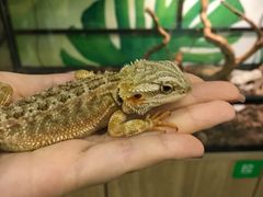 -藦茜花园宠物主题亲子互动体验馆(国顺东路店)