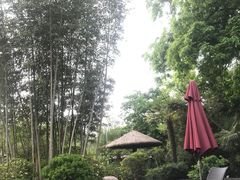 -西安国际创新人才交流中心•药浴温泉