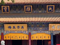 -西安大兴善寺
