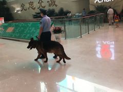 -中国人民解放军总医院(301医院)