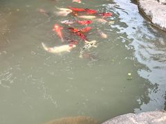 -兰溪地下长河