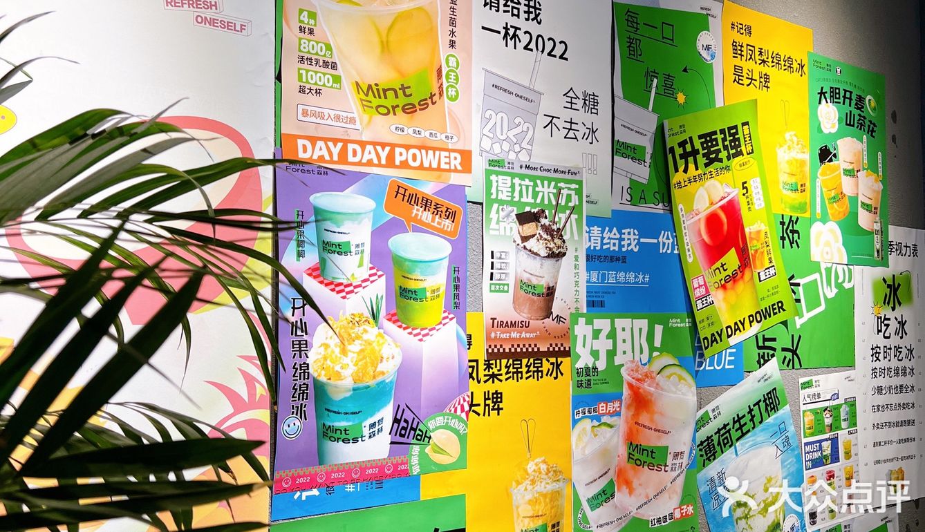 漳州探店 | 我的冬天不能没有「薄荷森林」❗