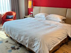 -南京维景国际大酒店(南京博物院店)