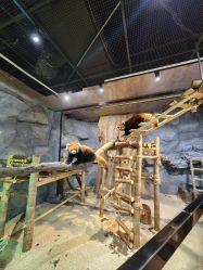 -Zoolung Zoolung动物主题公园(海信广场店)