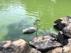 -北京动物园-畅观楼