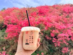 -木兰云雾山