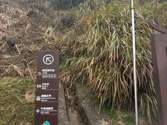 -长沙黑麋峰国家森林公园