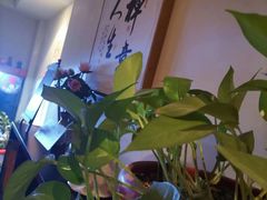 -逸栈养生SPA(望京店)