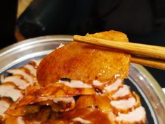 -守柴炉烤鸭(中海国际店)