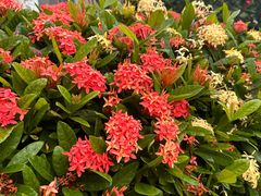 -厦门国家会计学院