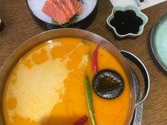 -海桐