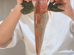 -镹·鱼料理  国产鱼使用店