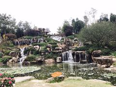 -秀丽东方