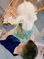 -Moni星球萌宠·小马宝莉·灵蛇·高端高阶全萌宠互动体验俱乐部(红豆国际广场店)