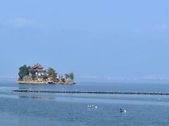 -洱海月湿地公园