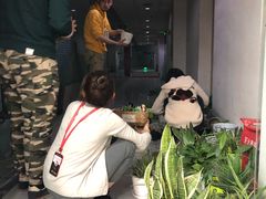 -帝京日语(春熙路旗舰校区)