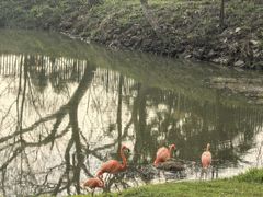 -合肥野生动物园