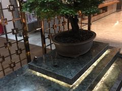 大堂-康帝国际酒店-艾斯本自助西餐厅