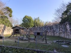 -上海野生动物园