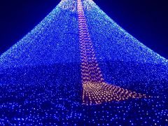 -杭州湾海上花田景区