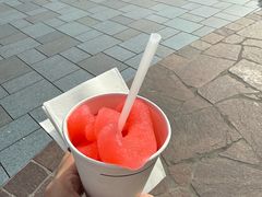 -巴黎迪士尼乐园