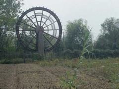 -溱湖国家湿地公园