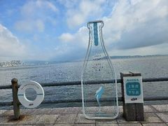 -悦海公园