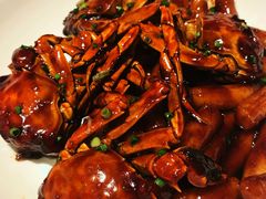 年糕油酱毛蟹-玫瑰厅上海菜(兴国路店)