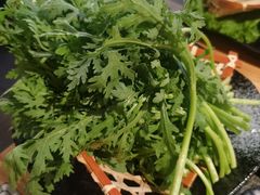 -湊湊火锅·茶憩(皇姑万象汇店)