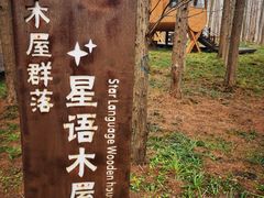 -黄海国家森林公园