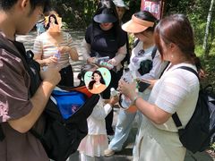 -牛背梁国家森林公园