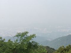 -阳台山森林公园