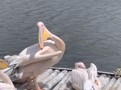 -沈阳森林动物园