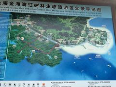 -北海金海湾红树林生态旅游区