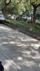 点击看大图 -上海交通大学医学院附属上海儿童医学中心(陆家嘴总院区)