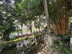 -成都市活水公园