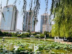 -团结湖公园