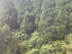 -狼牙山风景区