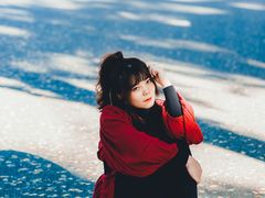 -三里屯东五街银杏大道