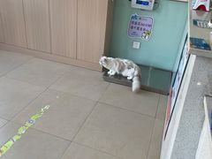 -美迦爱-牙专科·兔科·骨科诊疗中心(北苑店)
