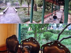 -新川办餐厅