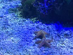 -江和美海洋公园