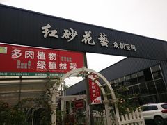 -三圣花乡旅游区