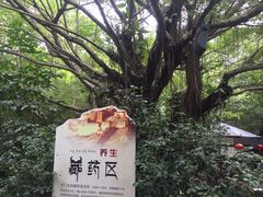 -嘉和K6温泉微度假