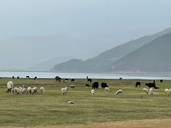 -纳帕海依拉草原