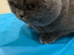 -美迦爱-牙专科·兔科·骨科诊疗中心(北苑店)