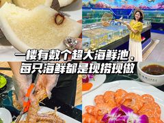 -亚龙湾热带天堂森林公园