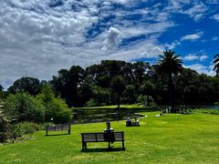 -墨尔本皇家植物园