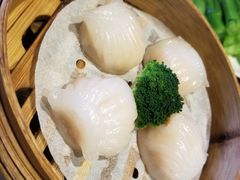 虾饺-香港表哥茶餐厅(银泰百货店)