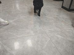 -半岛宠物医院24小时(白果林店)